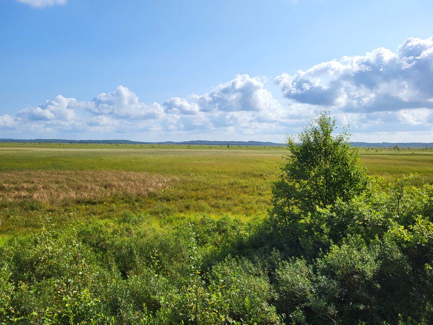 Store Mosse Nationalpark