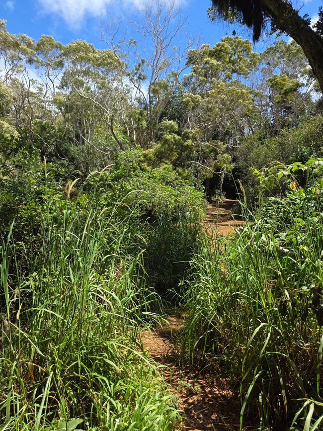 Wanderweg 