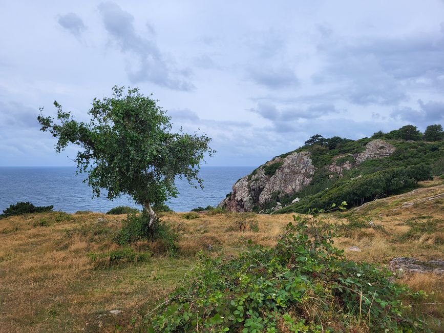 Riserva Naturale Kullaberg