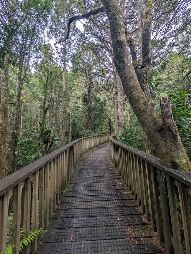 Whangarei -  Hundertwasser und Wasserfall
