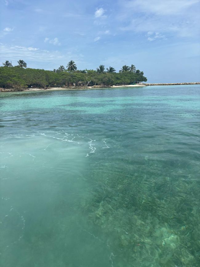 Semaine 26-28 : Au revoir, Colombie