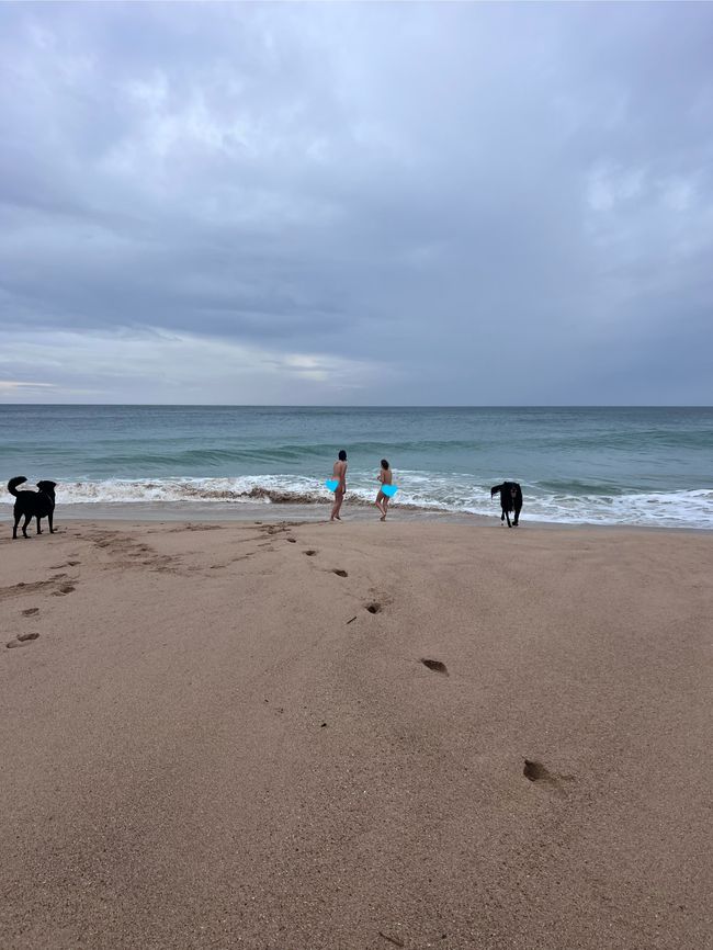 New Years Dip in the Atlantic Ocean