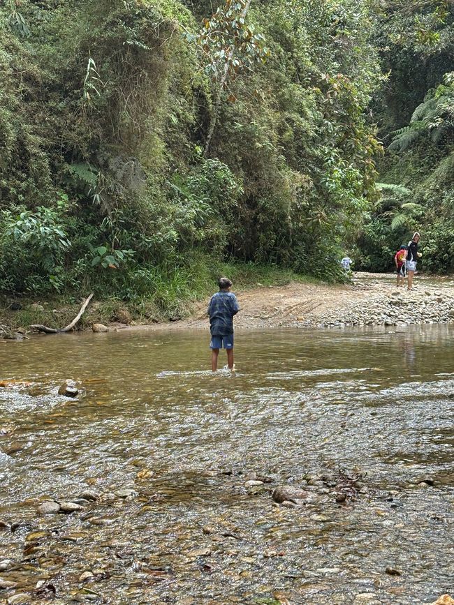 Semaine 26-28 : Au revoir, Colombie