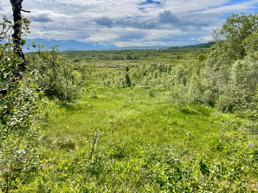 Eine sehr idyllische Wanderstrecke.