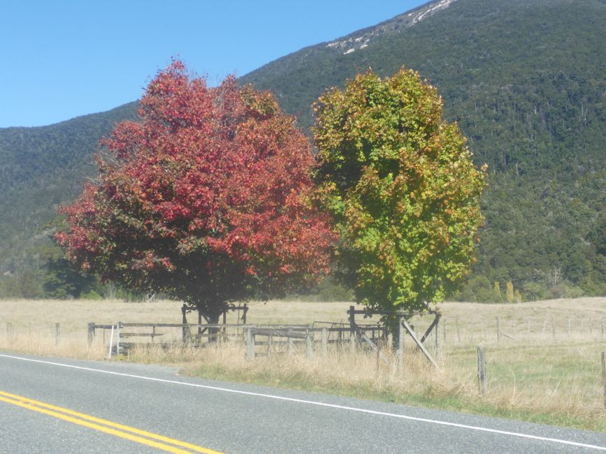Couleurs d'automne