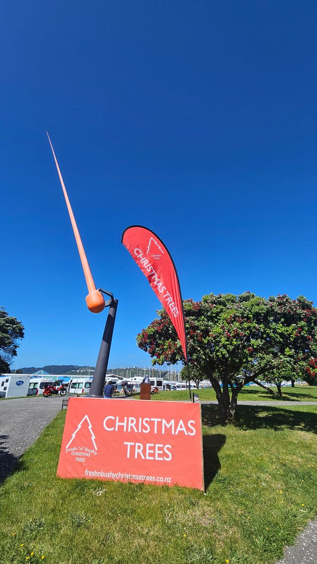 Lower Hutt - Wellington