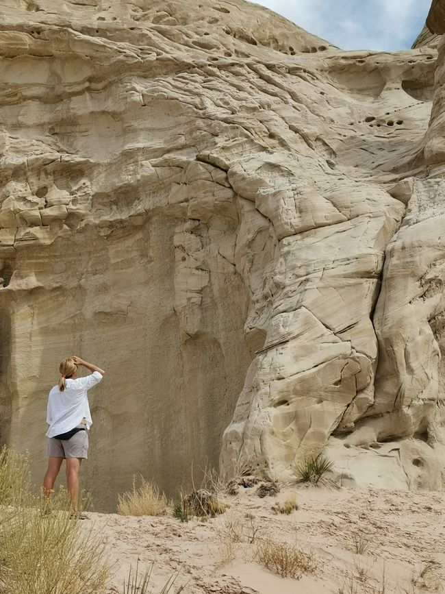 Grand Canyon... und mehr... 