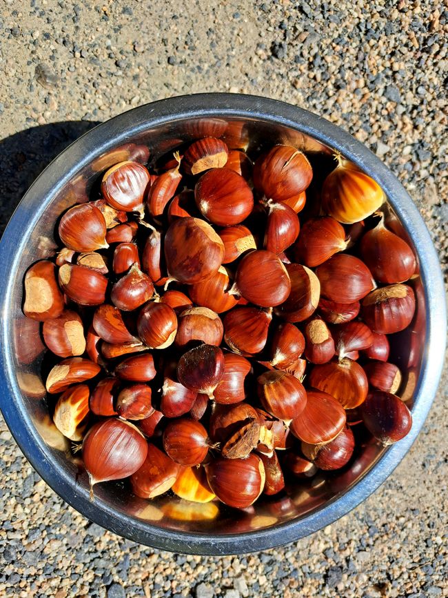 Du bist so heiß wie ein Vulkan