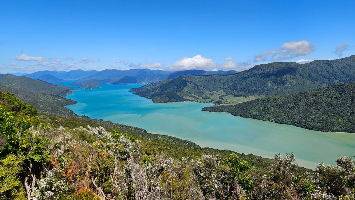 Picton - Queen Charlotte Track