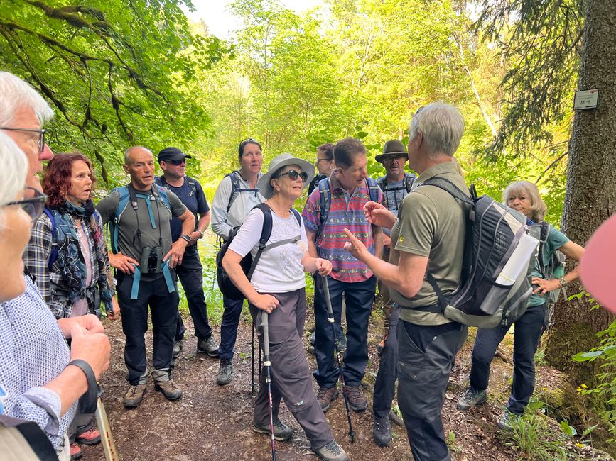 28 Wutachschlucht Pro Wolermoos