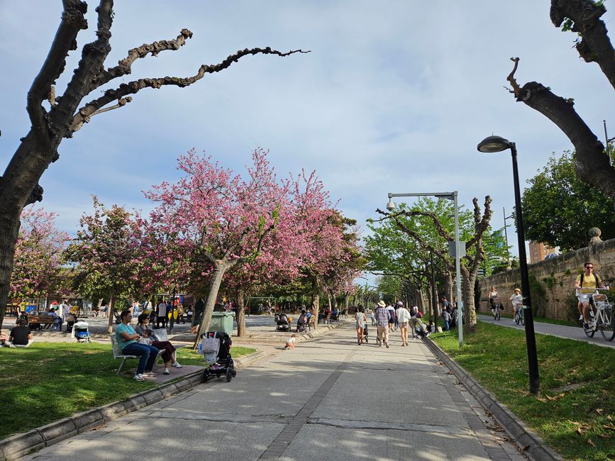 2025 - Aprile - Valencia - Parco del Turia