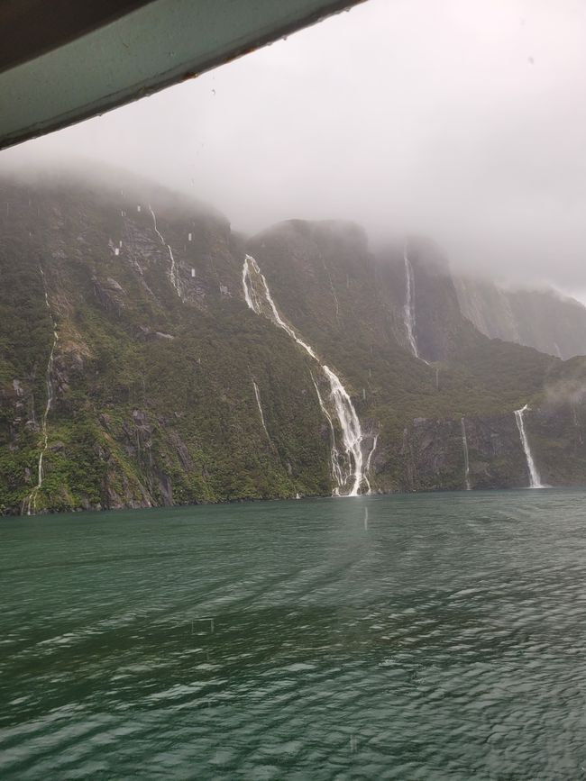 Tag 87 von 175: Kreuzfahrt rund um die Welt - Kreuzen im Milford Sound/Neuseeland