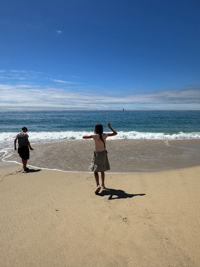 Santa Cruz-Monterey-Big Sur-Carmel by the Sea