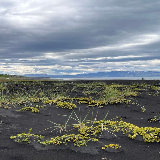 Myvatn