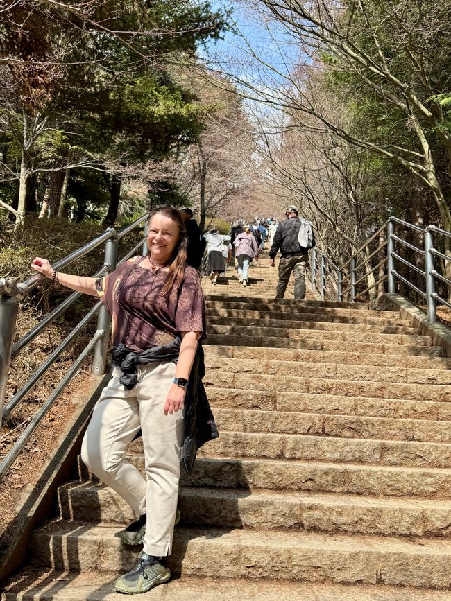 Parte 7
BENVENUTO IN GIAPPONE 🇯🇵
TOKYO