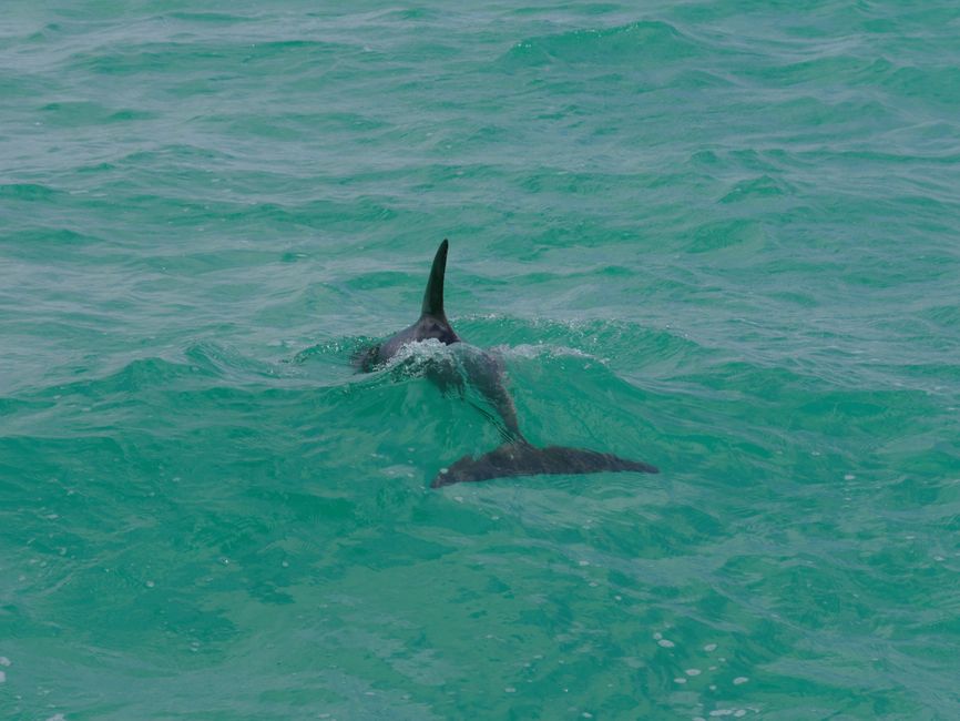 Biscayne National Park