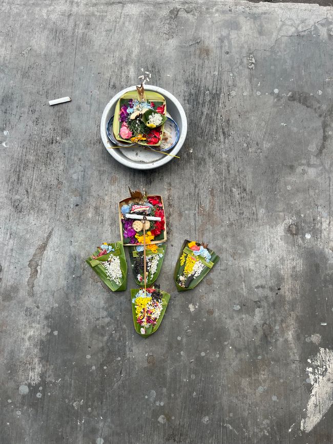 The offerings in baskets 