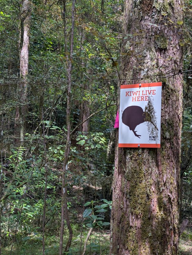 A rainbow doesn't choose to be a rainbow...