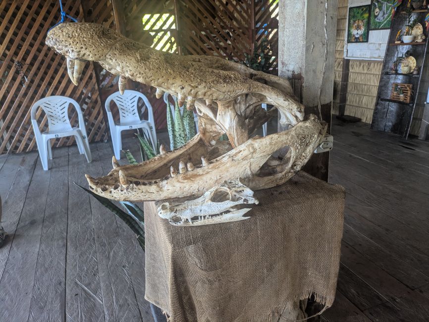 Alter- wo der Amazonas nur 32km breit ist