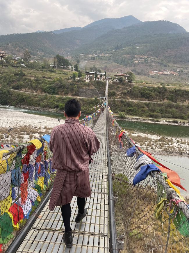 For body and soul: About wild water, local drugs and disciplining monks