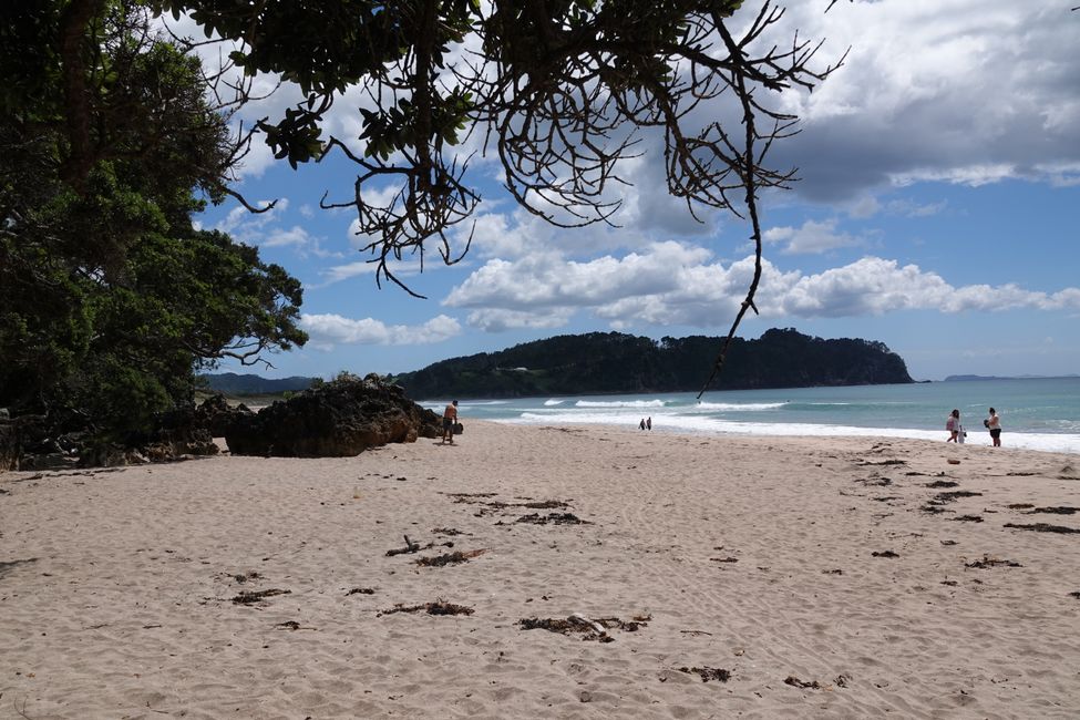 .... con Coromandel Town