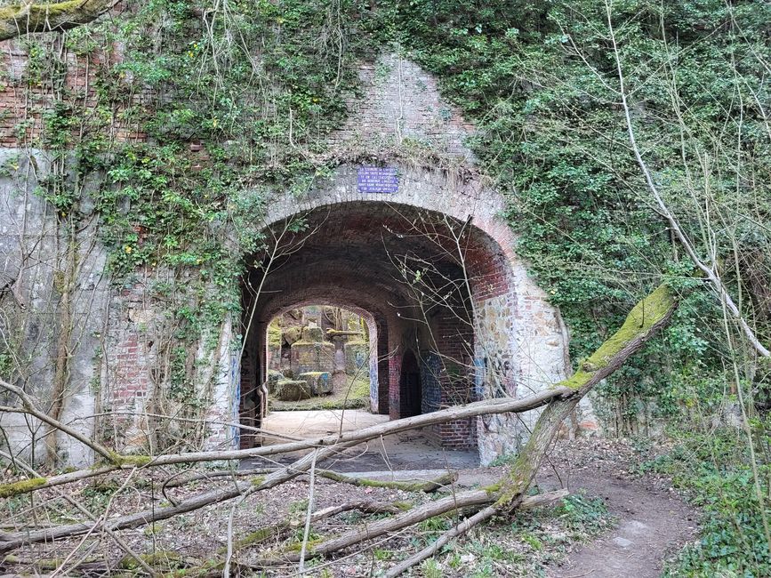 alter Kalkbrennofen 