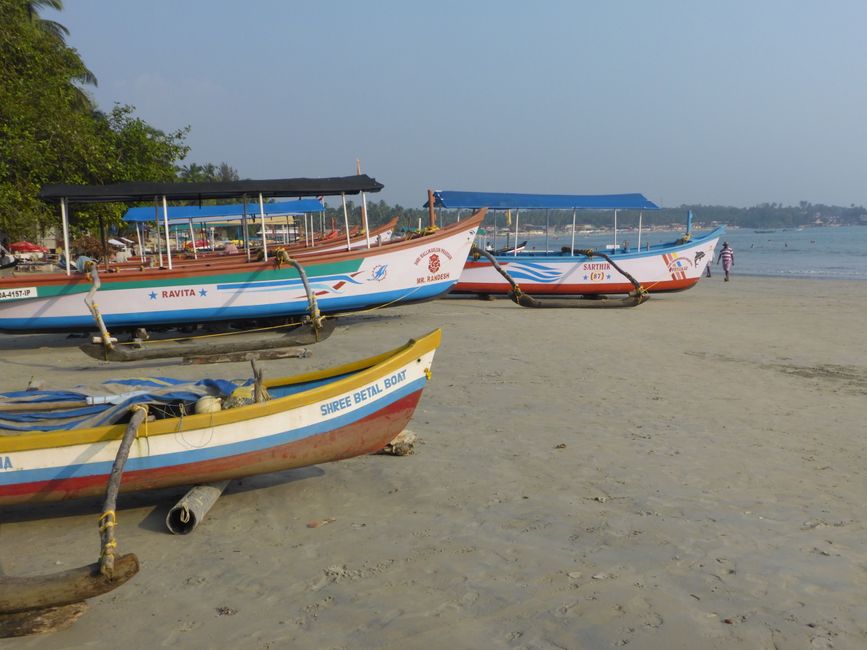 2024-12-08 Goa