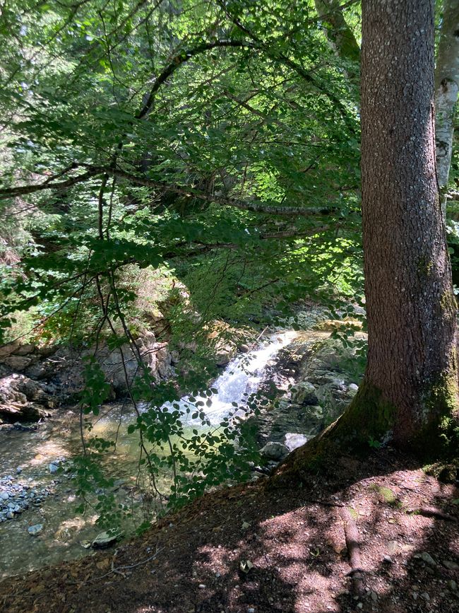 Genusswanderung zum Wertacher Hörnle