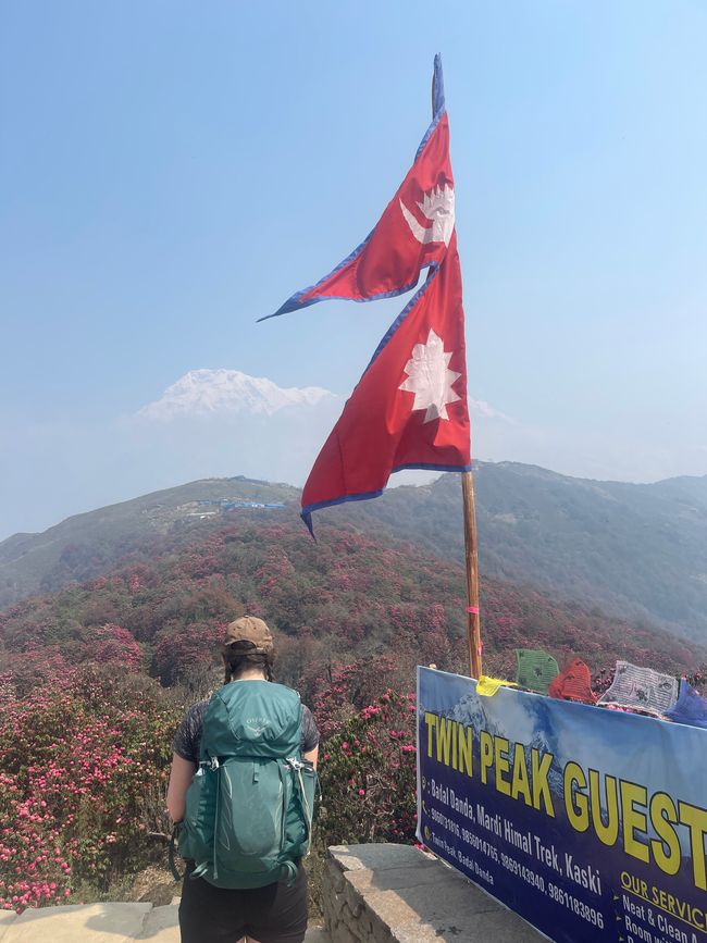 Week 31 - Mardi Himal + Pokhara 3.0