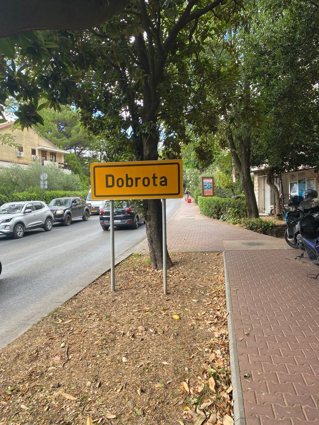 Dodicesimo giorno