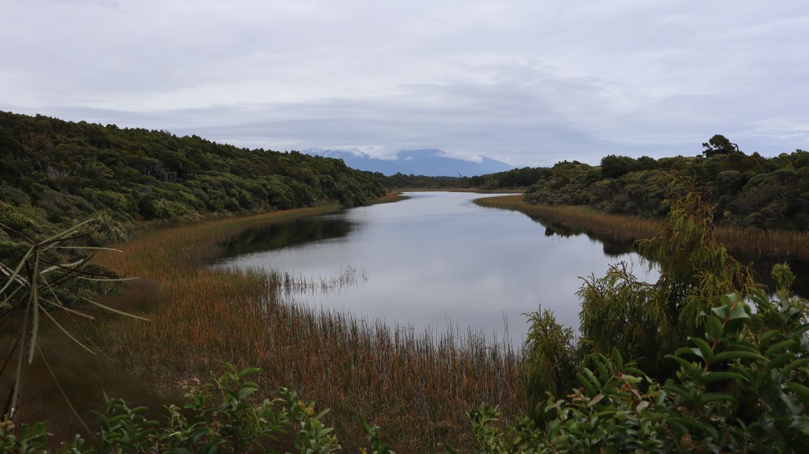 Ship Creek - Dune Lake
