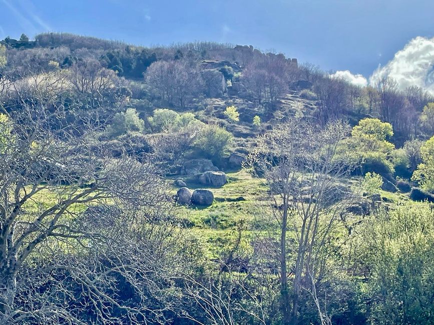 In the mountains, agriculture becomes less common.