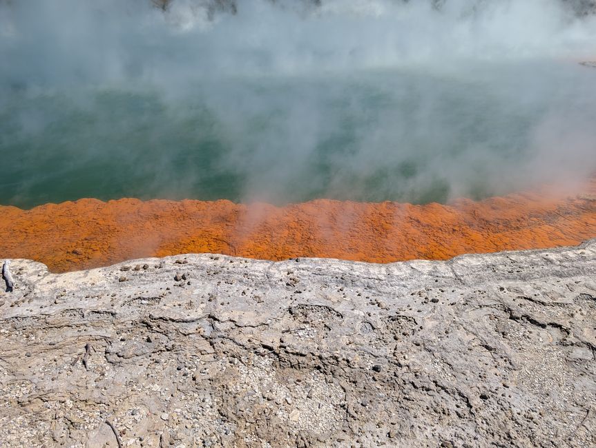 Champagne Pool von nah