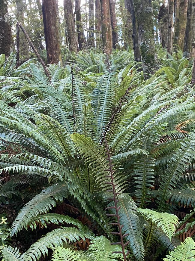 Von den Bergen ans Meer