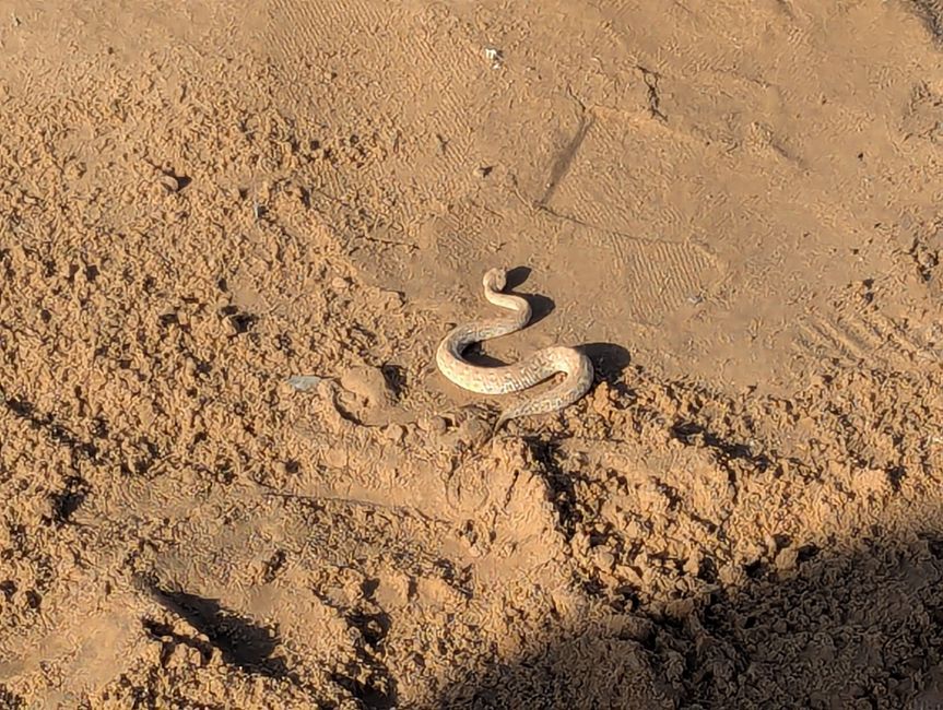 Tour nel deserto Swakopmund