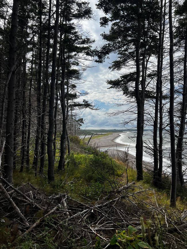 Cape Breton en conclusion