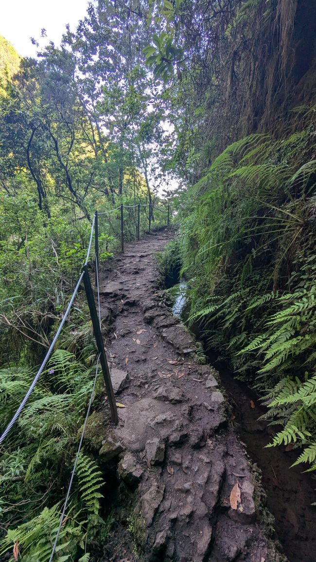 Tag 14: Levada do Caldeirão Verde & Nordküste