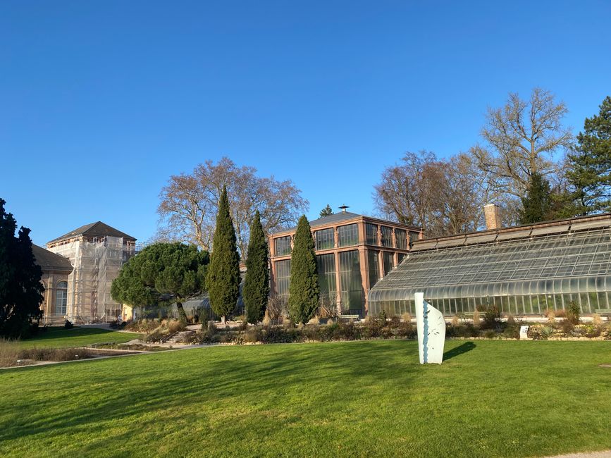 Das Glashaus des Botanischen Gartens