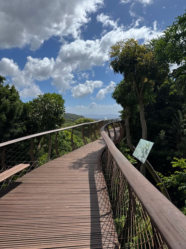 Jahreswechsel in Capetown