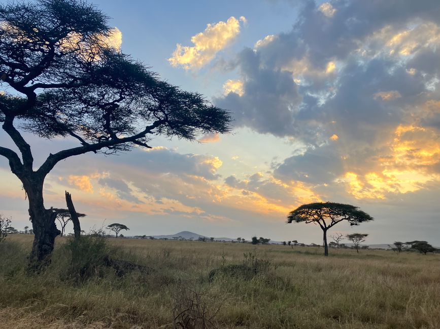 En la Serengeti - Día 2