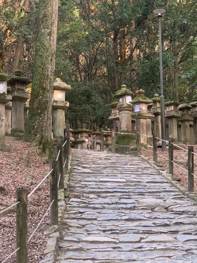 Kyoto