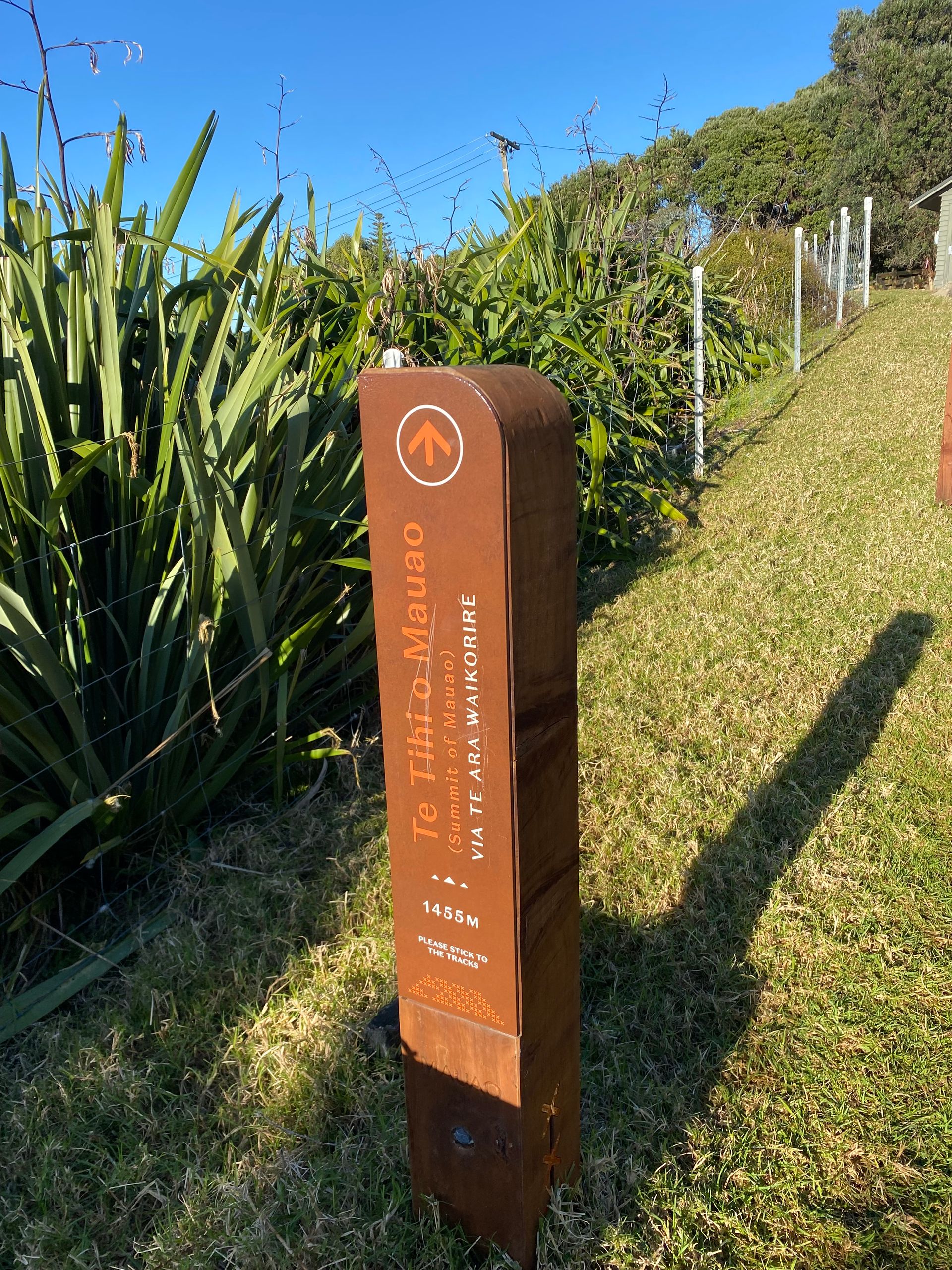 小型远足去Mount Manganui