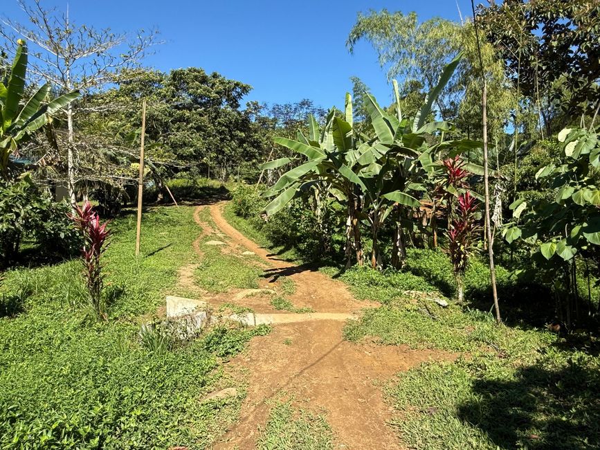 Der Fussweg zum Dorf