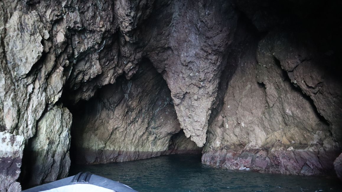 Bootstour entlang der Küste von Whitianga bis zur Cathedral Cove