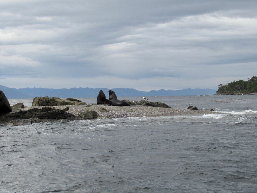 À partir de maintenant, 4 jours de voyage en bateau