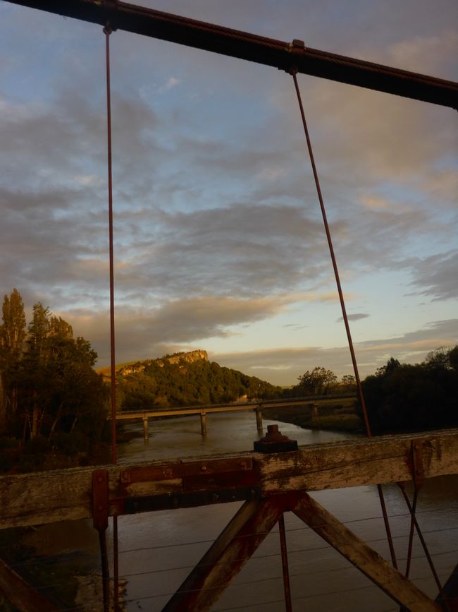 2025-02-19 a la costa oeste, NZL