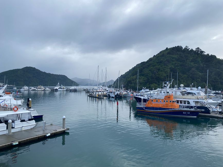 Off to the North Island