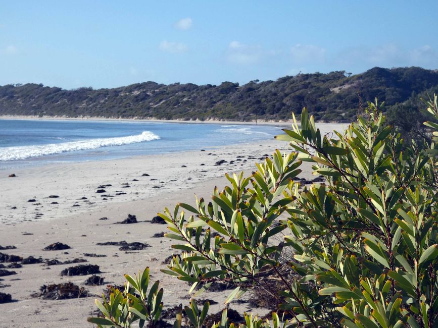 Emu Bay und Stokes Bay, Kangaroo Island