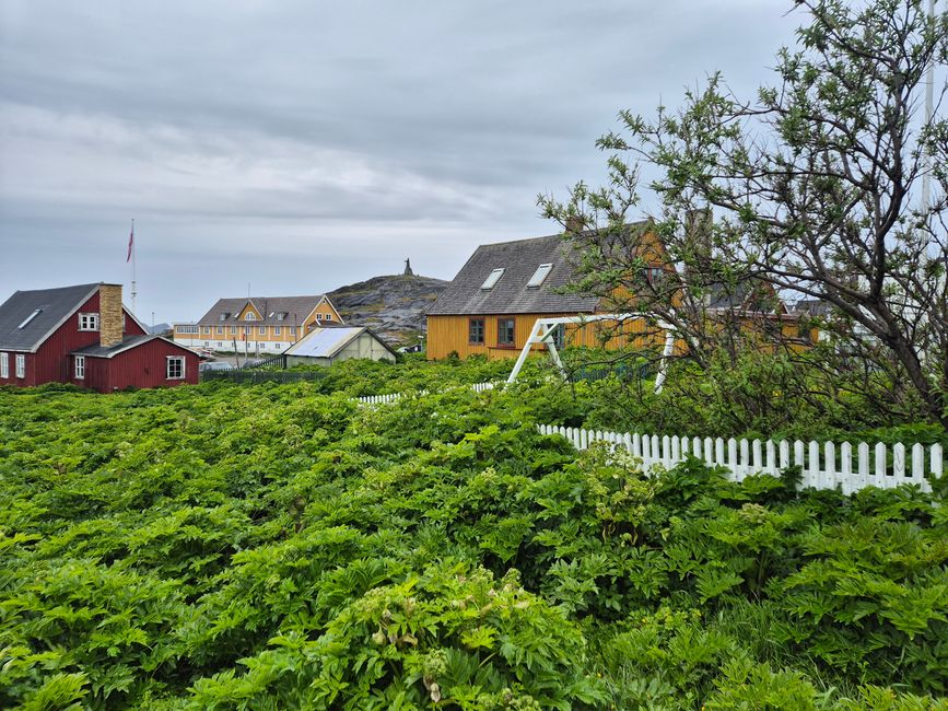 Grünland in Grönland. 