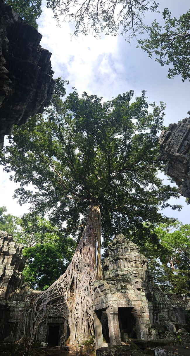 Los templos de Angkor